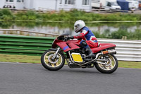 Vintage-motorcycle-club;eventdigitalimages;mallory-park;mallory-park-trackday-photographs;no-limits-trackdays;peter-wileman-photography;trackday-digital-images;trackday-photos;vmcc-festival-1000-bikes-photographs